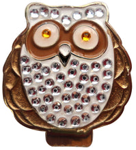 Owl w/ Crystals Ball Marker main pic